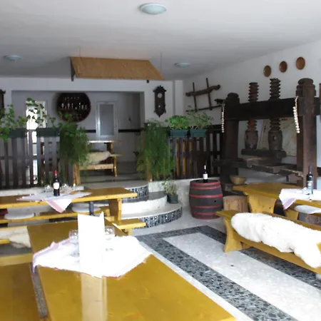 Retro Panzio بيتْش